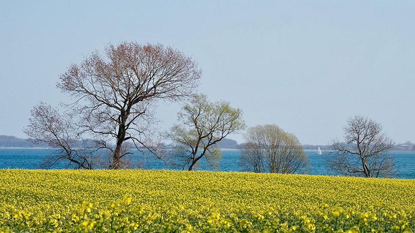 Ostseestrand